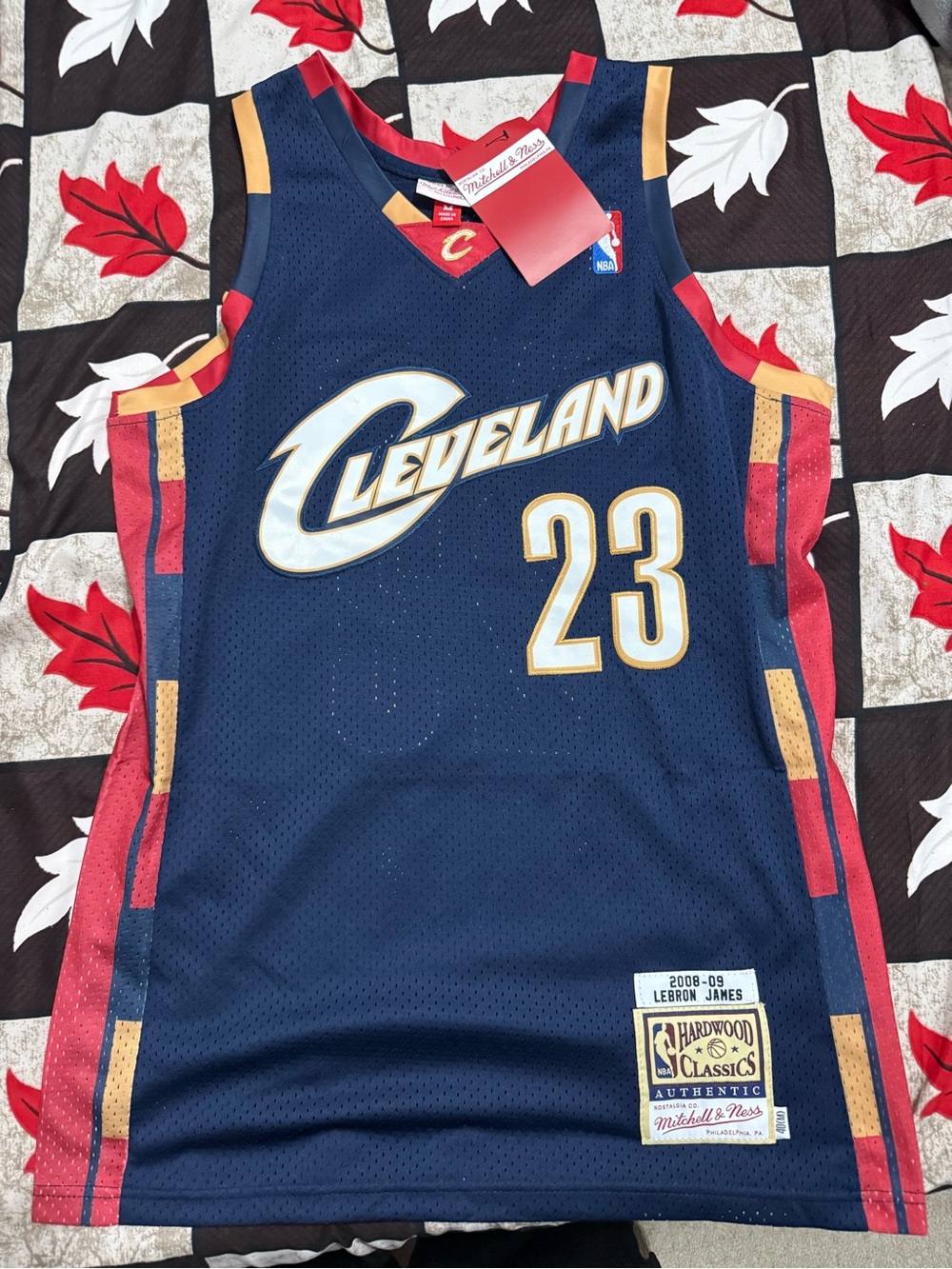 LeBron James Hardwood classics jersey